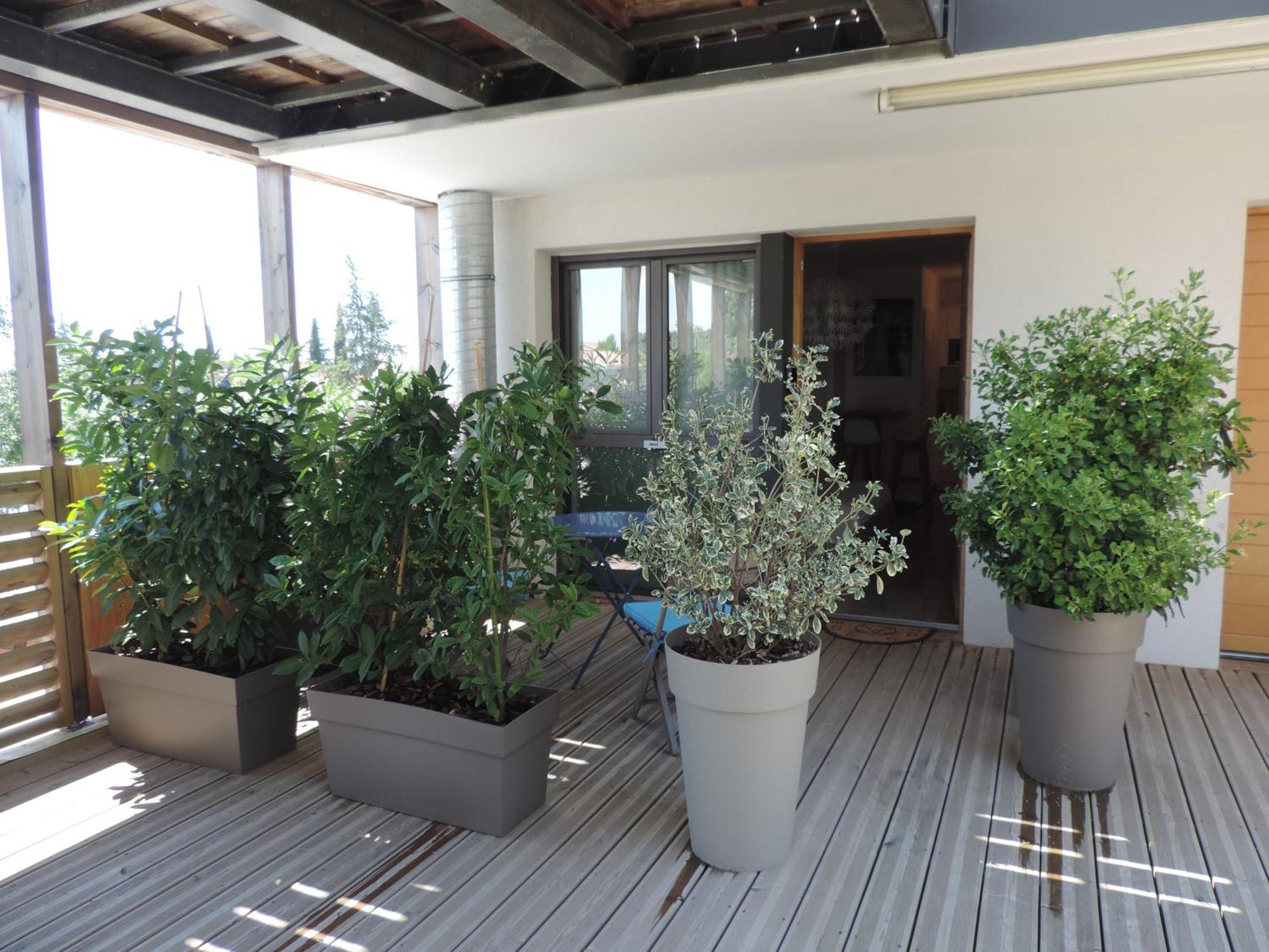 Studios Nuitee En Provence Aix-en-Provence Exteriör bild